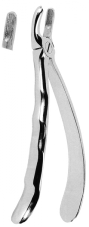 抜歯鉗子 With Anatomically Shaped Handle