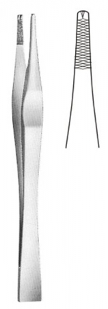 Toothed Dissecting Forceps