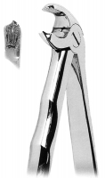 抜歯鉗子 With Anatomically Shaped Handle