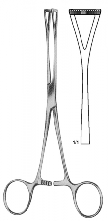 TISSUE & ORGAN HOLDING 鉗子