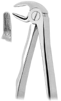 抜歯鉗子 With Anatomically Shaped Handle