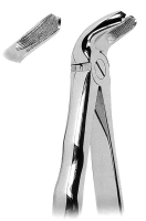 抜歯鉗子 With Anatomically Shaped Handle