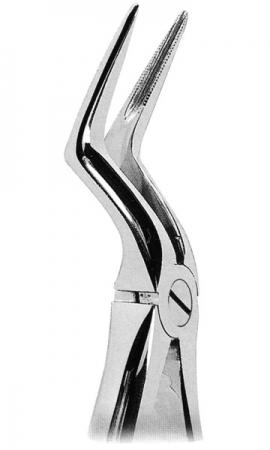 抜歯鉗子 With Anatomically Shaped Handle