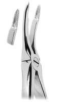抜歯鉗子 With Anatomically Shaped Handle