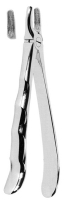 抜歯鉗子 With Anatomically Shaped Handle