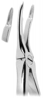 抜歯鉗子 With Anatomically Shaped Handle
