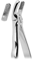 抜歯鉗子 With Anatomically Shaped Handle