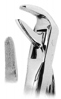 抜歯鉗子 With Anatomically Shaped Handle