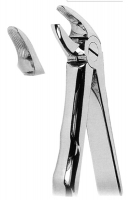 抜歯鉗子 With Anatomically Shaped Handle