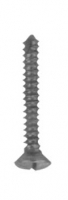 Orthopaedic Implants 整形外科器具