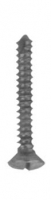 Orthopaedic Implants 整形外科器具