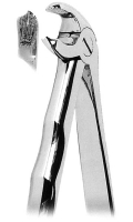 抜歯鉗子 With Anatomically Shaped Handle