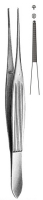 Toothed Dissecting Forceps