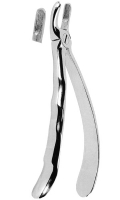 抜歯鉗子 With Anatomically Shaped Handle