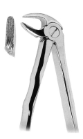抜歯鉗子 With Anatomically Shaped Handle